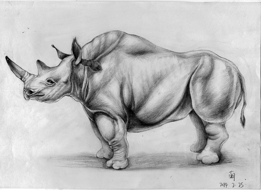 绘乐美-犀牛|其他绘画|插画|萌yilu - 原创设计作