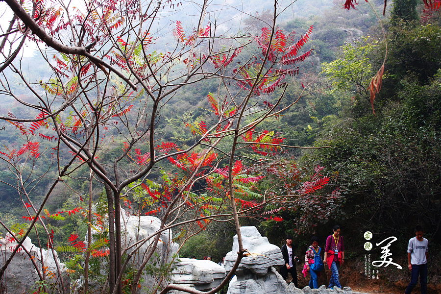户外旅行--河南巩义长寿山赏红叶|风光|摄影|小