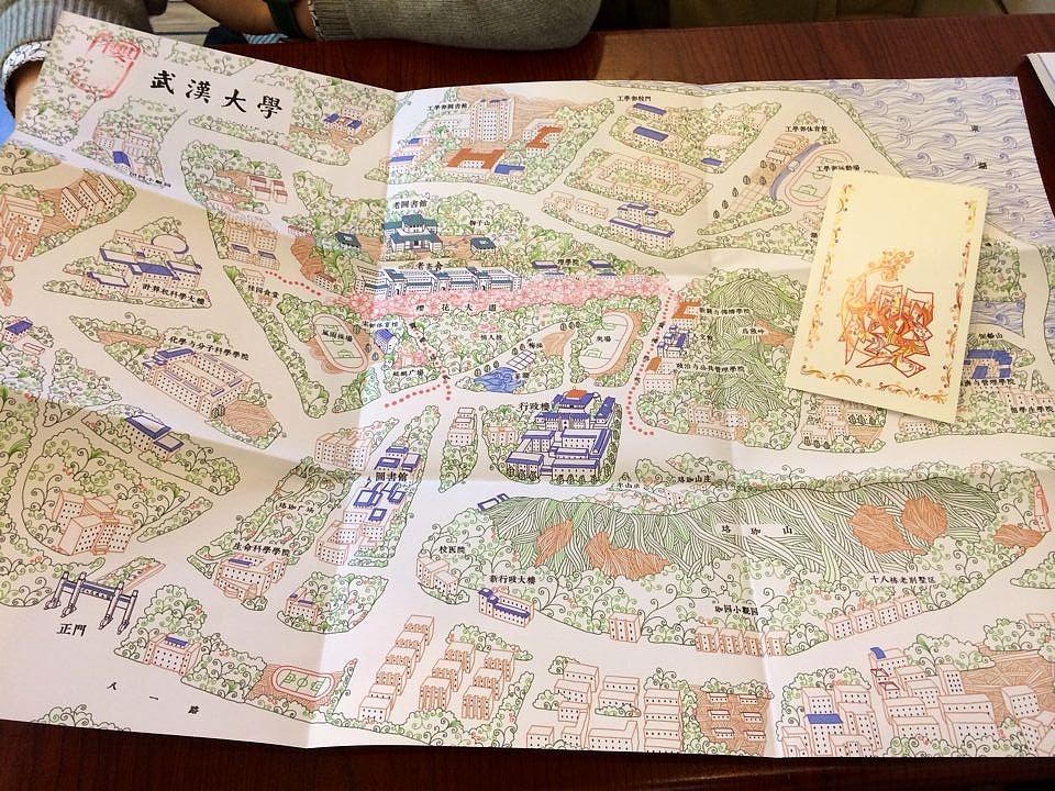 樱--武汉大学手绘地图图片