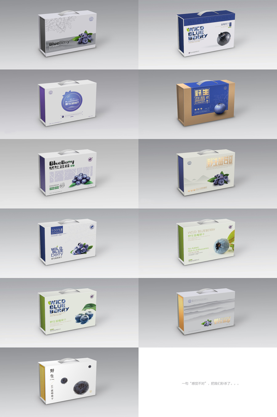 一次虐心的蓝莓礼盒提案|包装|平面|决绝 - 原创