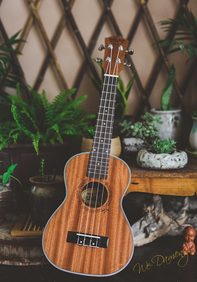 尤克里里|摄影|静物|We为一商业摄影 - 原创作品