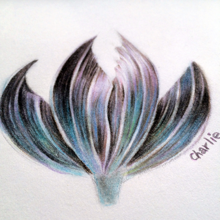 《美人鱼》师太鱼尾|彩铅|纯艺术|张曦文 - 原创