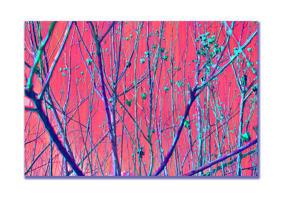 摄影小结|其他摄影|摄影|芝士排骨 - 原创设计作