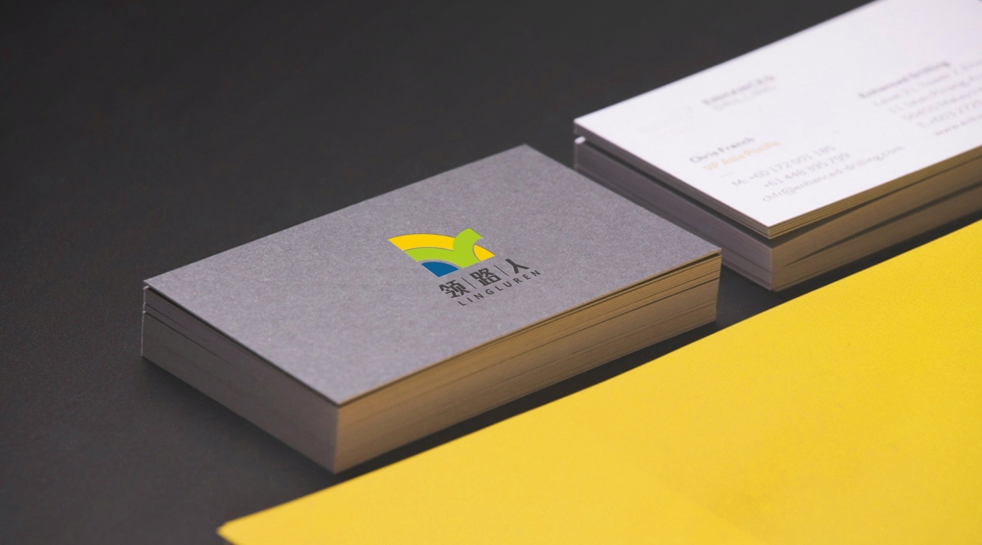 跨境电商技术服平台LOGO设计丨领路人|平面|