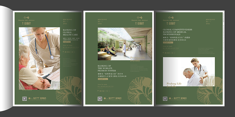 养老地产 报广 提案 原创设计 平面设计 排版|D