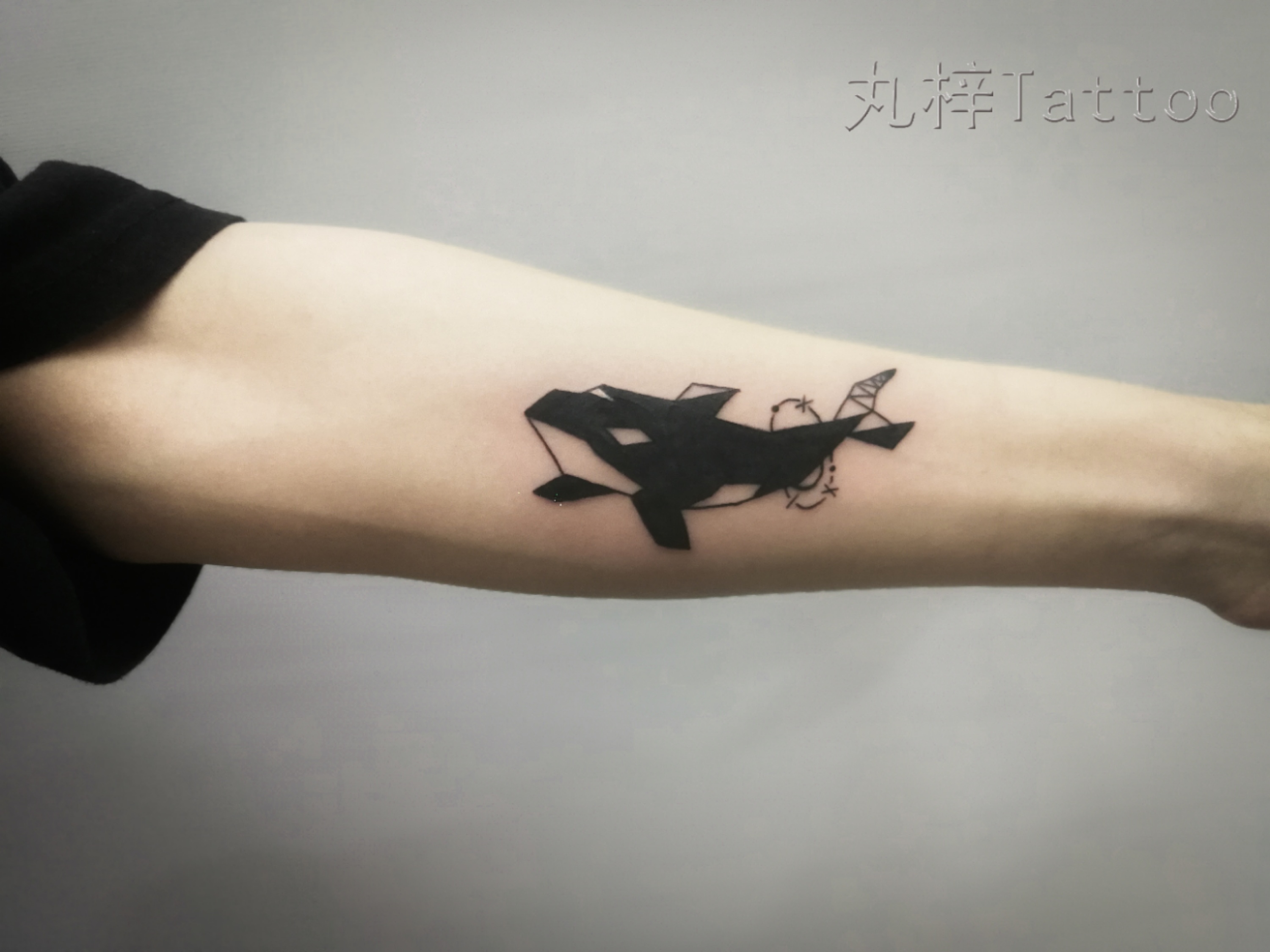 鲸鱼纹身 鲸鱼纹身什么含义_纹身鲸鱼象征着什么