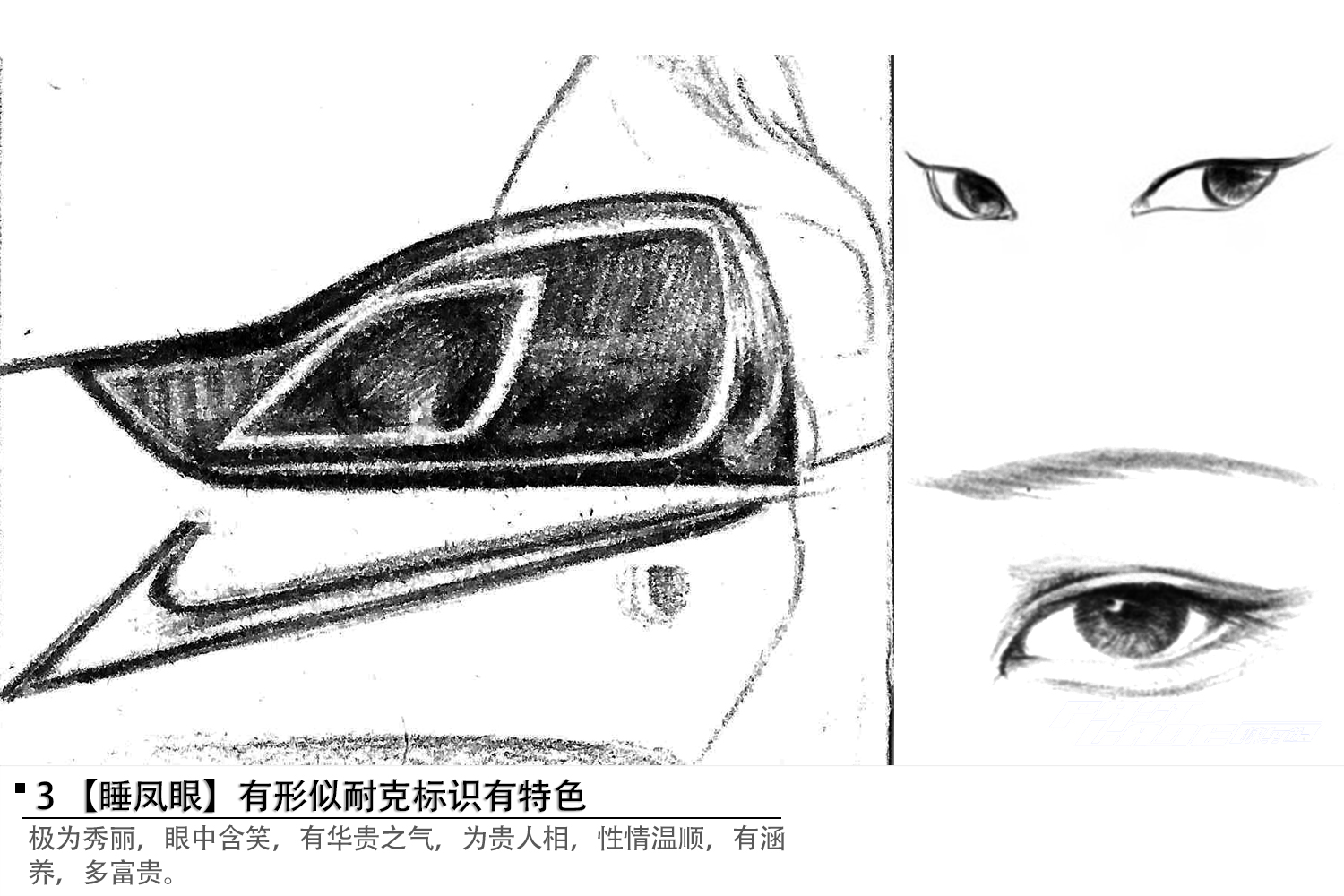 手绘车灯eyes