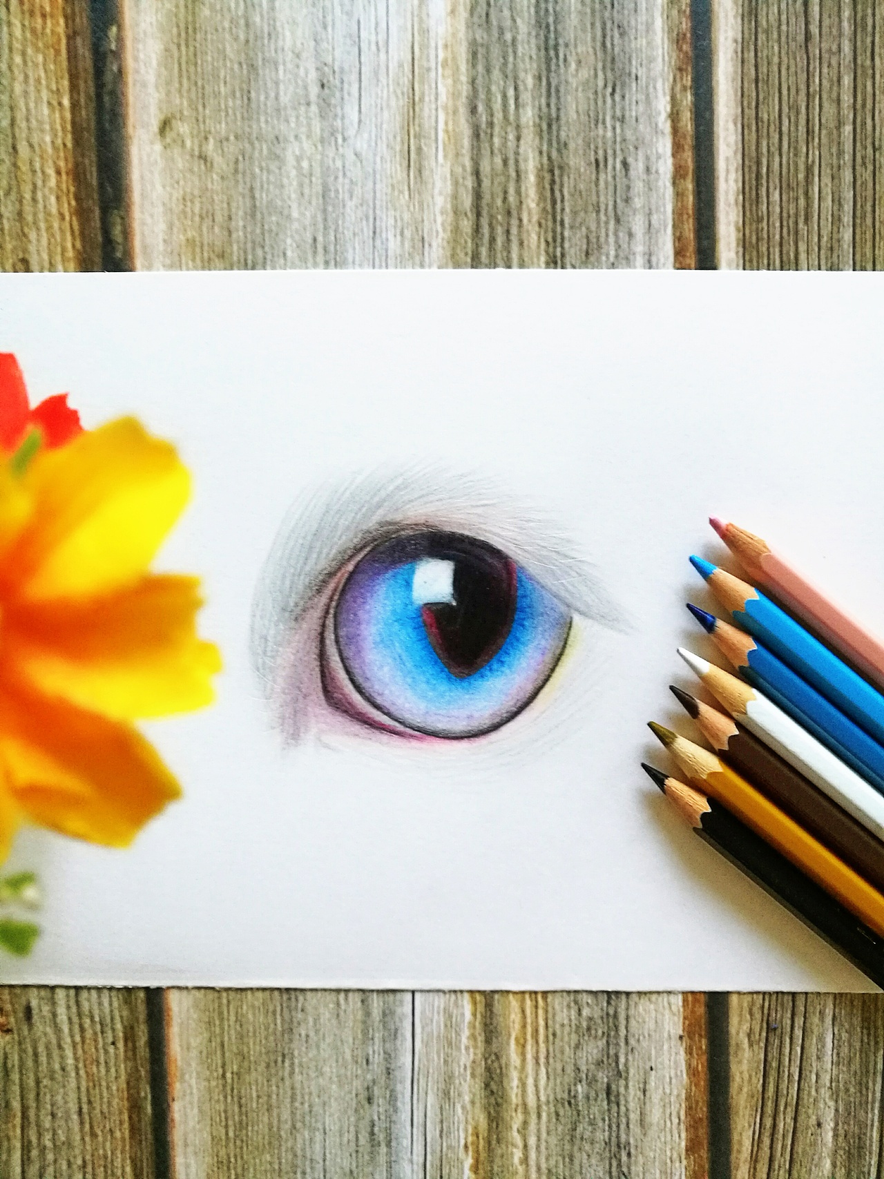 猫眼睛,彩铅画
