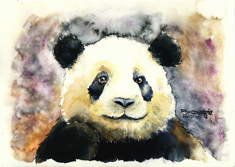 熊猫水彩【坚定】熊猫布余(制作视频)|纯艺术|水彩|Panda浩俊 - 原创作品 - 站酷 (ZCOOL)