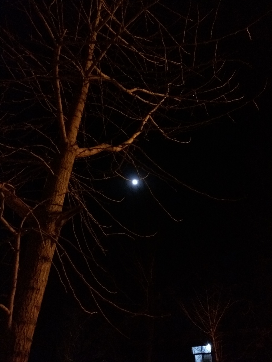 晚安北京|静物|摄影|shijuner - 原创设计作品 - 站