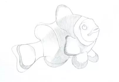 彩色铅笔画步骤教程小丑鱼的画法