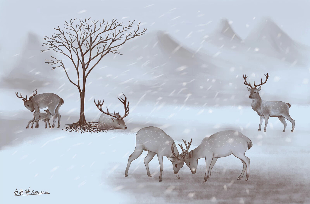 白鹿图片