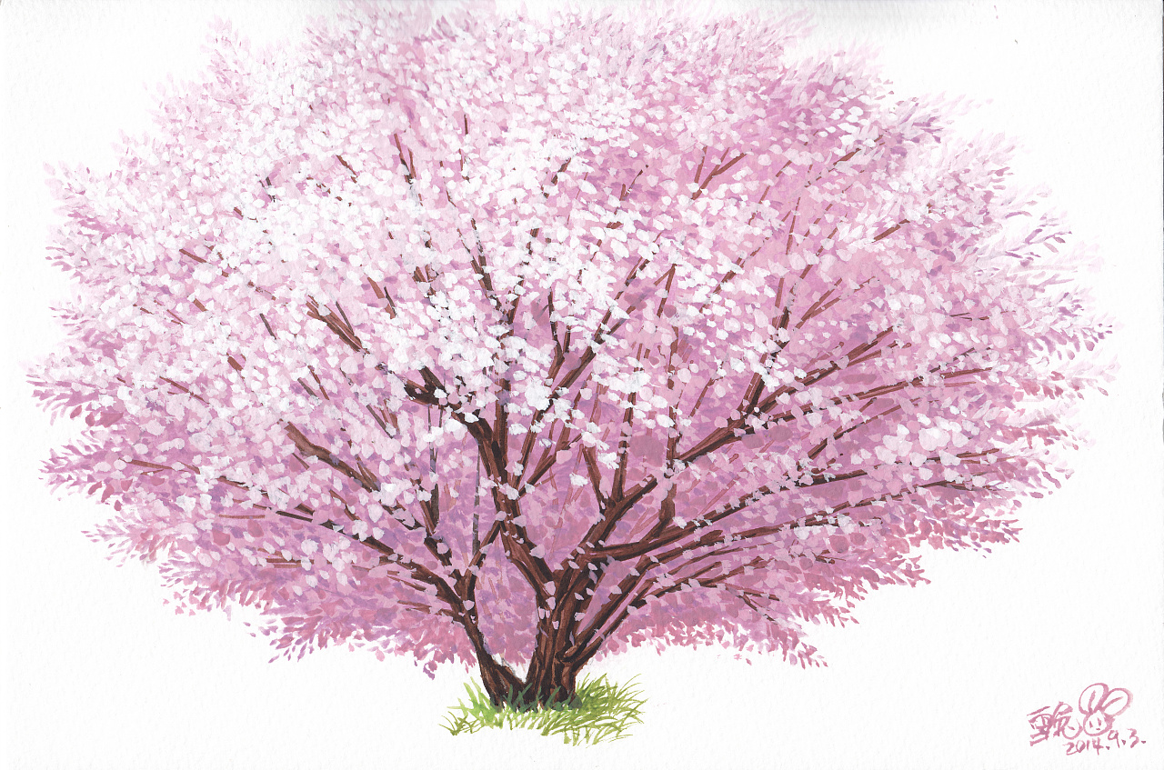 水彩樱花 - 堆糖，美图壁纸兴趣社区