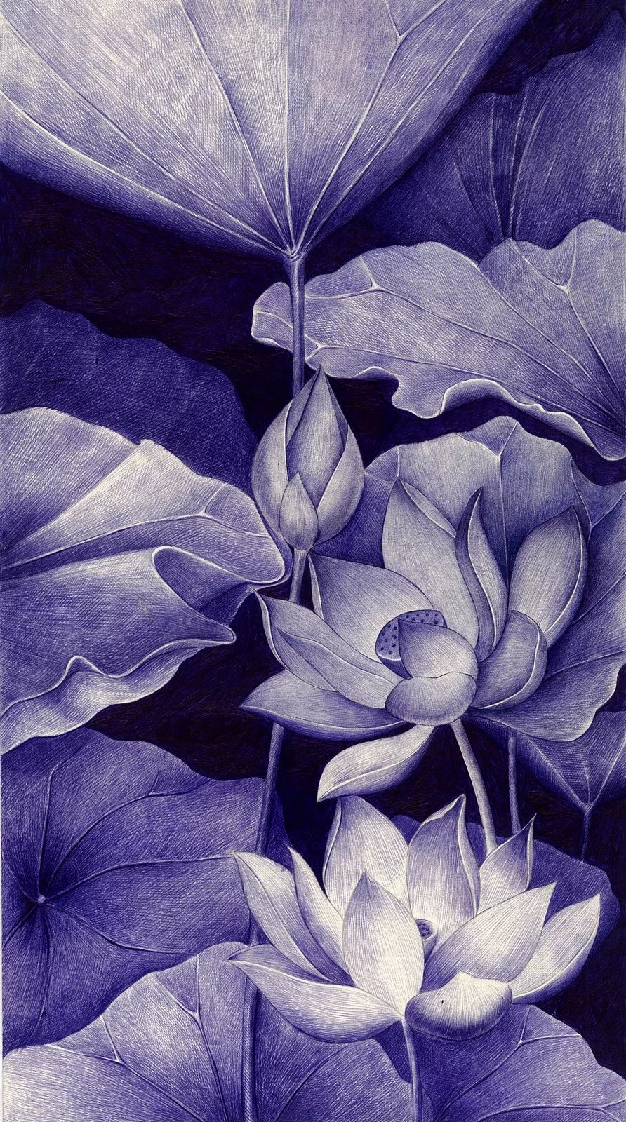 《蓝莲花》|其他艺创|纯艺术|阿庆手绘 - 原创设