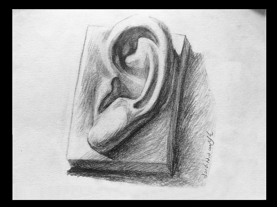 石膏耳朵|素描|纯艺术|吴银花 - 原创设计作品 - 站酷 (ZCOOL)