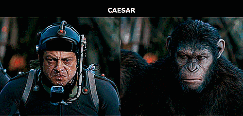 除了3d动画,二维动画也被应用在一些影视作品中,例如1988年上映的