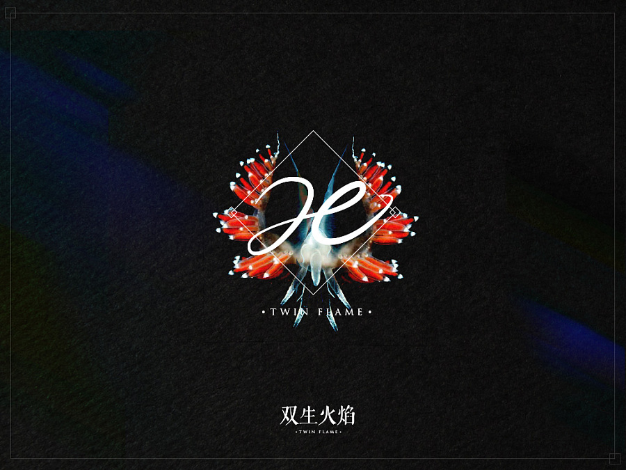 双生火焰是什么意思 01bb865576bde700000059ffed3d94.jpg@900w_1l_2o_100sh.jpg