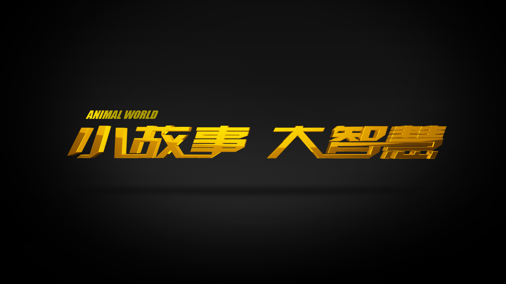 cctv《动物世界》栏目片头包装创意