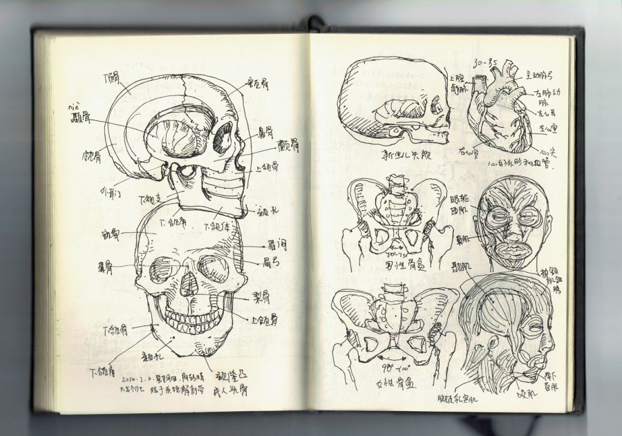 我的随身笔记本整理2015|速写|纯艺术|陈雄豹