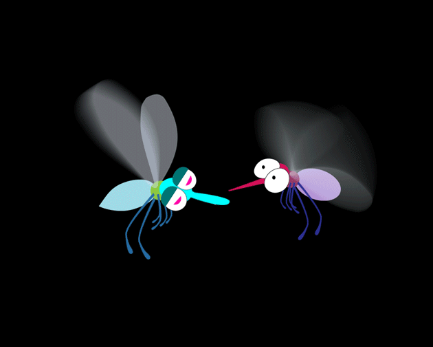世界蚊子日——11个蚊子gif动画
