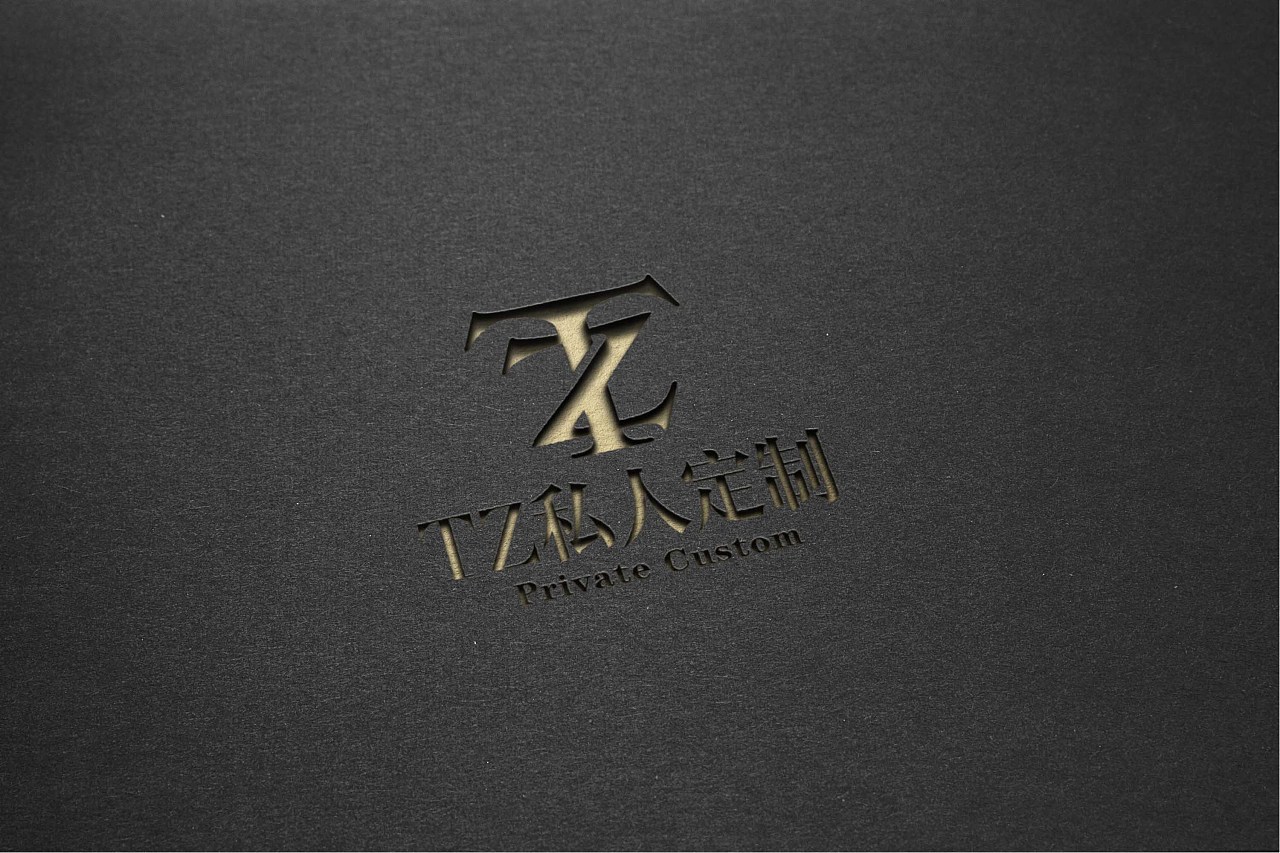 定制服装品牌logo设计—tz