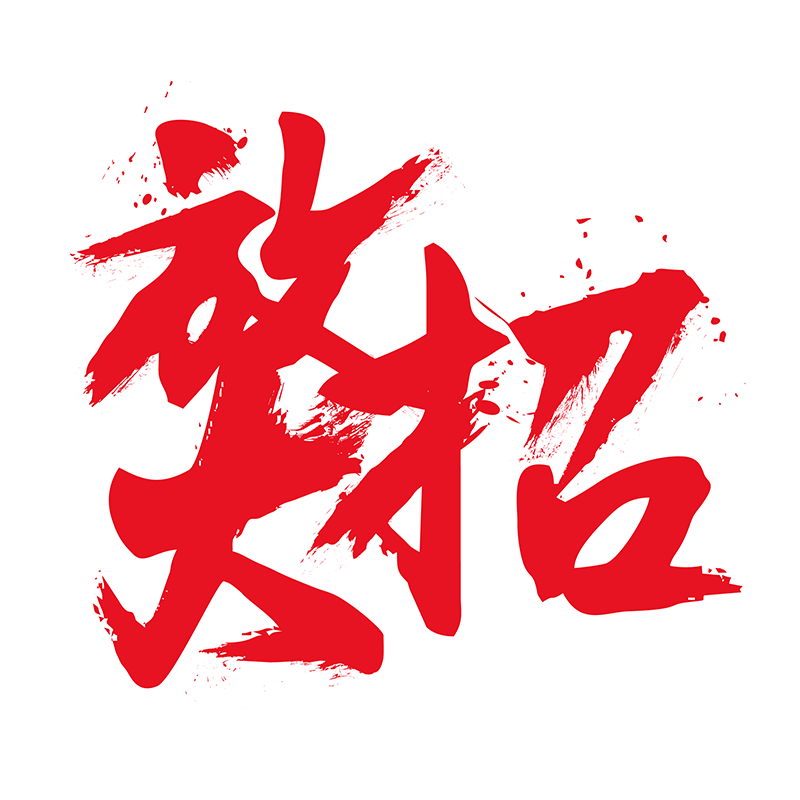 放大招-文字-公司logo