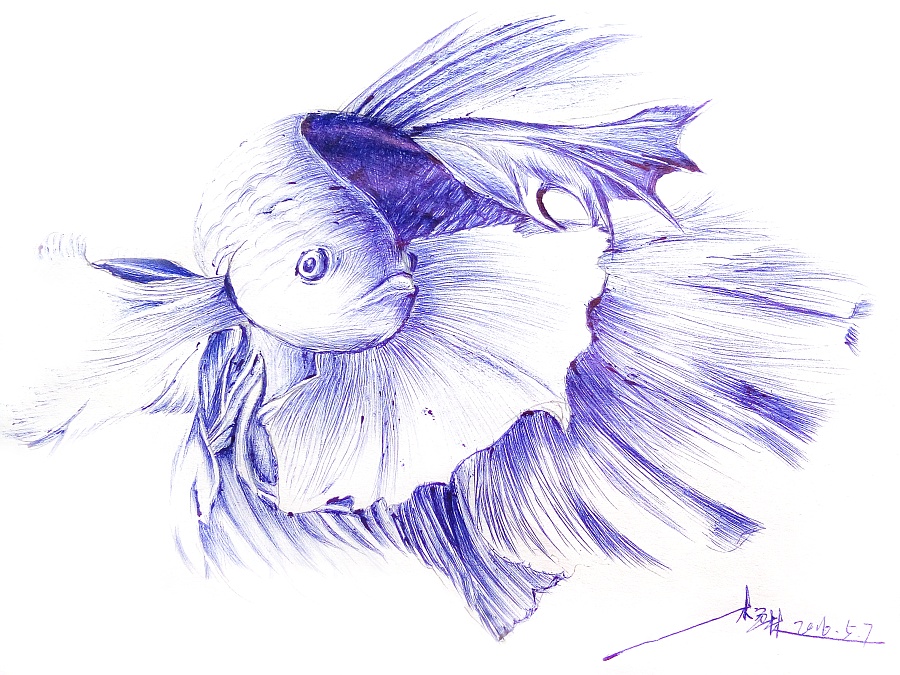 圆珠笔画|其他绘画|插画|最萌萌哒的林林 - 原创设计作品 - 站酷 (ZCOOL)