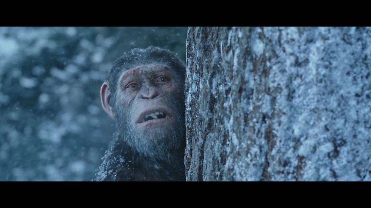 猩球崛起 预告片|影视|后期/剪辑|7ouchmg - 原创作品