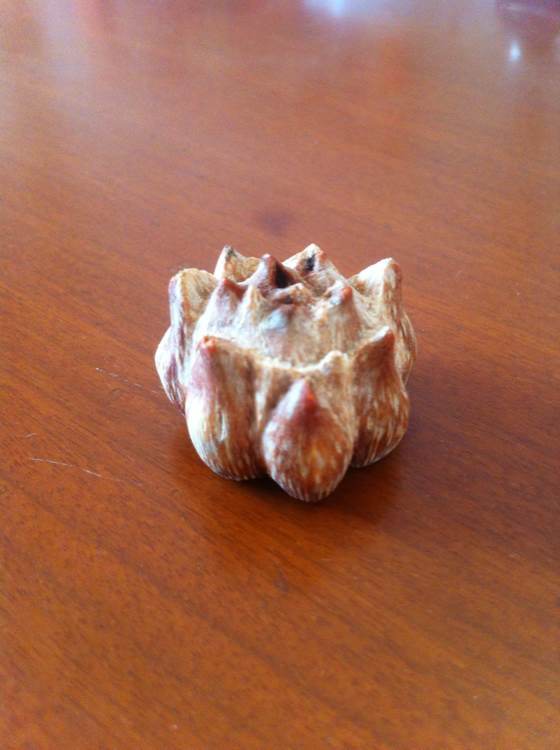 滴血莲花|首饰|手工艺|莲石 - 原创设计作品 - 站