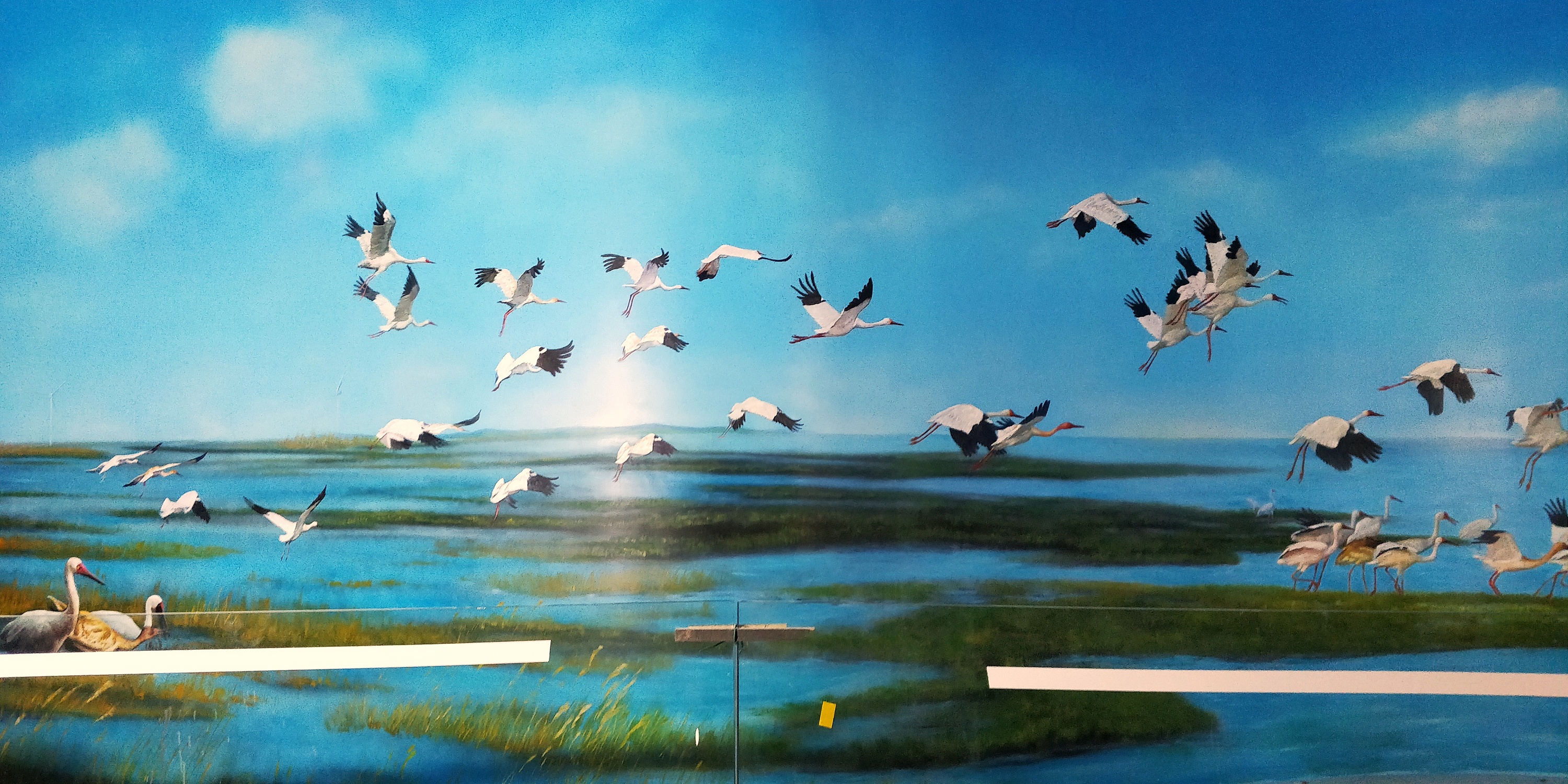 候鸟保护区主题墙绘壁画