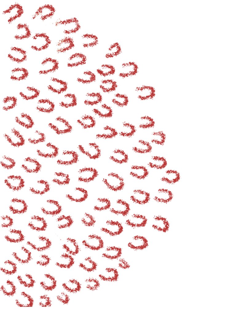 800_1004 竖版 竖屏