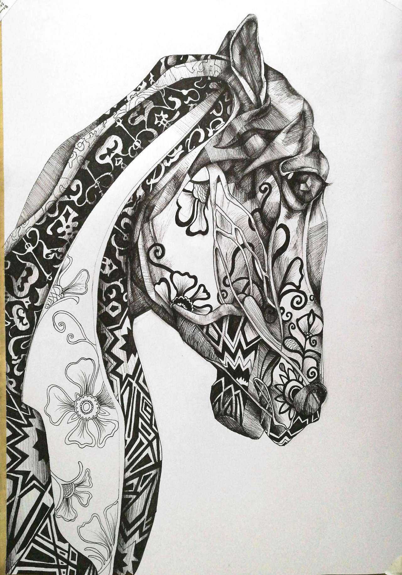 钢笔画。马|插画|商业插画|青铜小葵花 - 临摹作品 - 站酷 (ZCOOL)