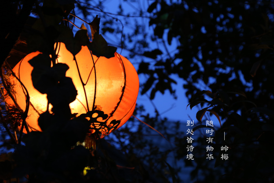 冬日之梅|修图\/后期|摄影|哦卖糕糕 - 原创设计作