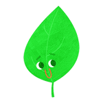 water/fire/planet/leaf/sun