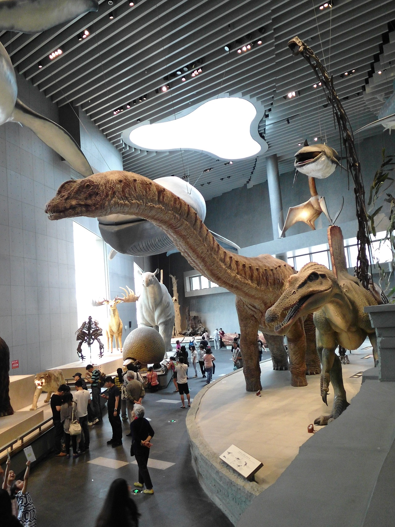 摄影多图上海自然博物馆一日游