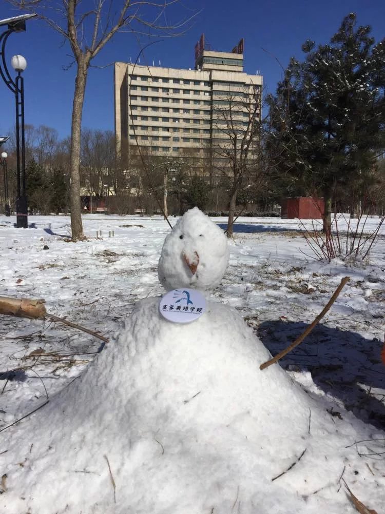 鲨客英语学院小改造|图形\/图案|平面|我是鲨客 