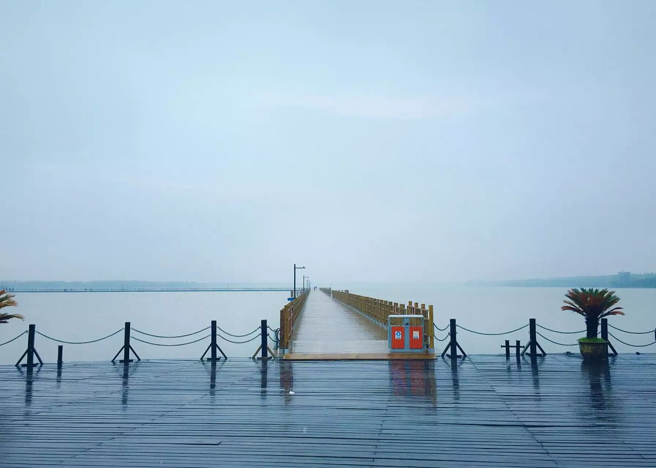 雨中漫步/上海崇明岛明珠湖/西沙湿地 公园