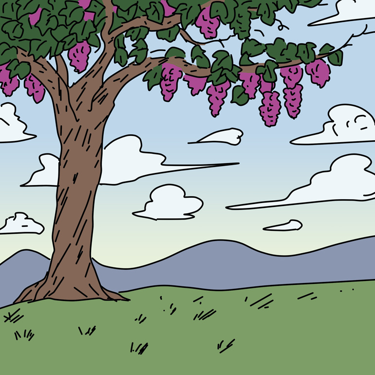 真葡萄树 |动漫|短篇/四格漫画|petersong0517 - 原创