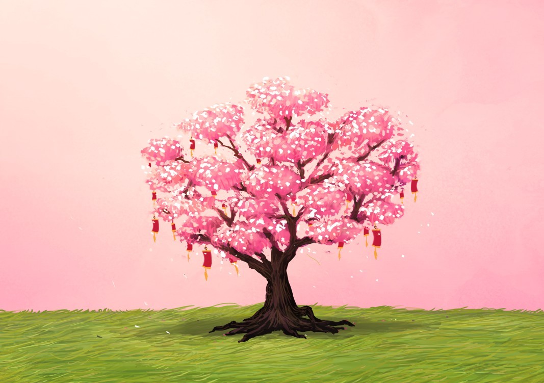 桃花树 