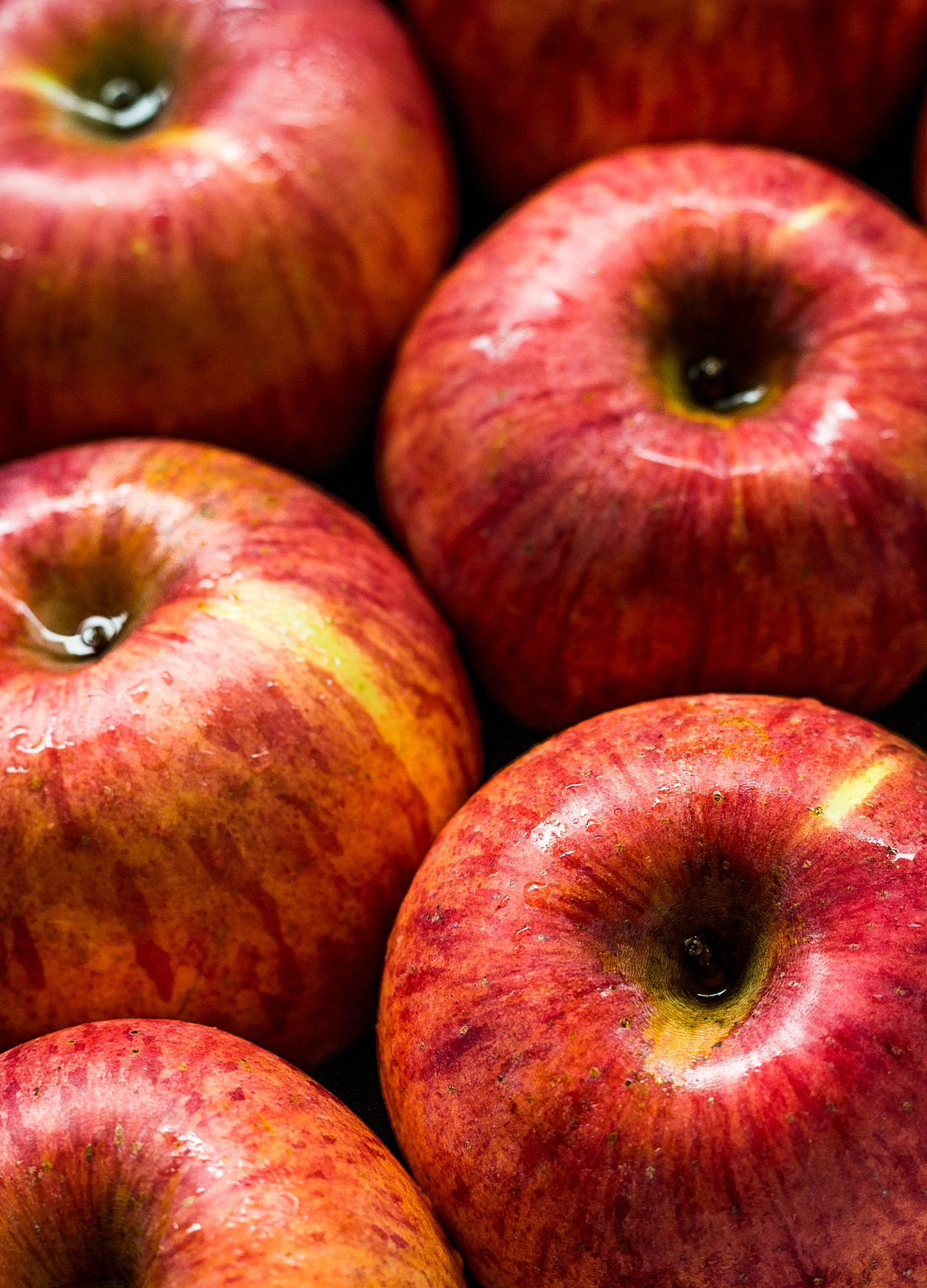 5个红苹果高清大图水果摄影原图原创素材|摄影|美食摄影|gamingwon
