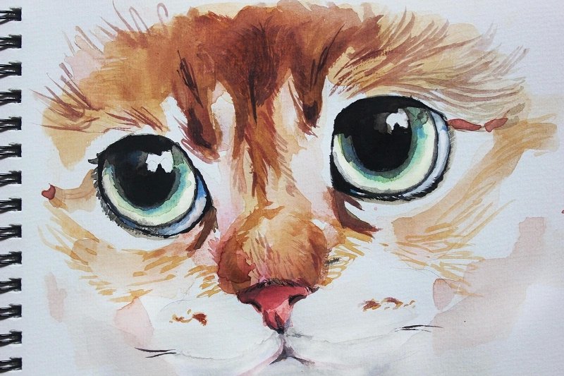 水彩小猫|水彩|纯艺术|滑翔的千 - 原创设计作品 - 站酷 (ZCOOL)