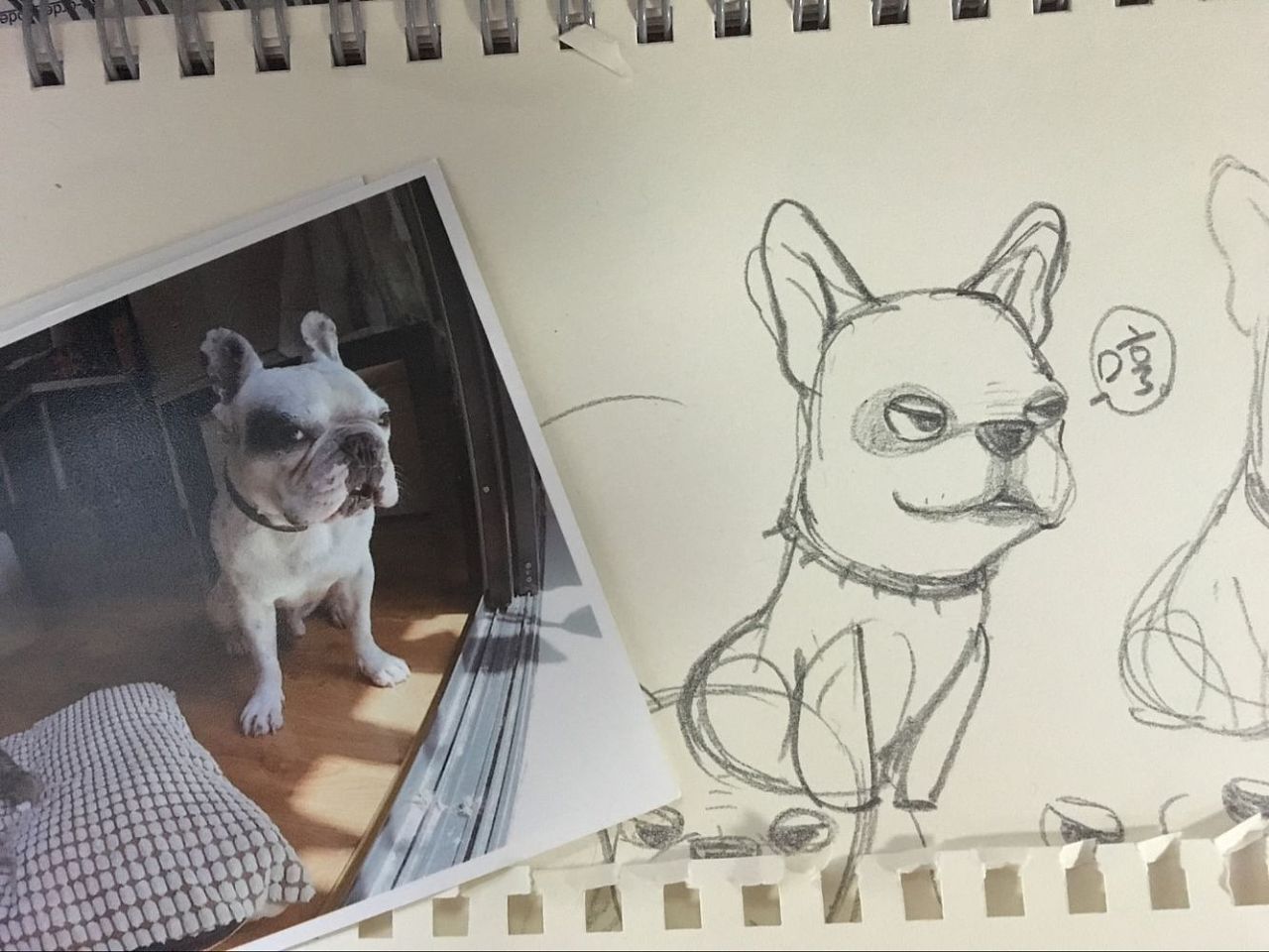 贱狗老雷微信表情包第一汪