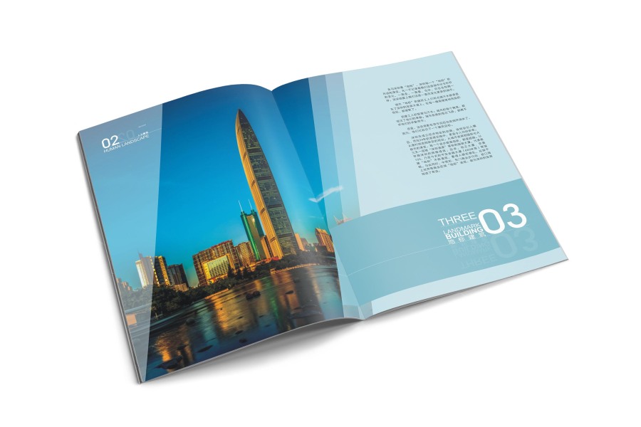 来了就是深圳人|书装\/画册|平面|DoublebinS - 原