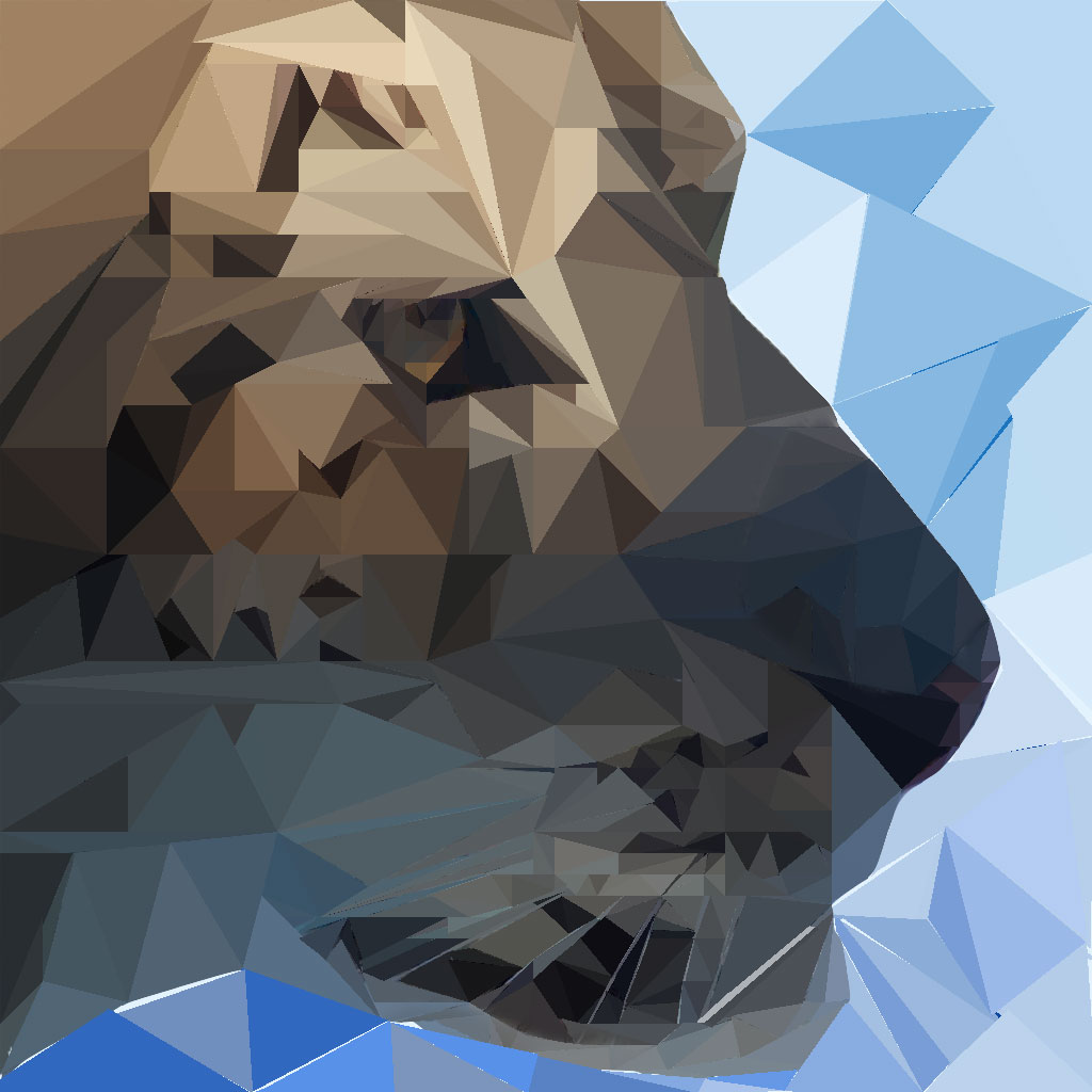 poly(dA:dT)与ATP有什么区别