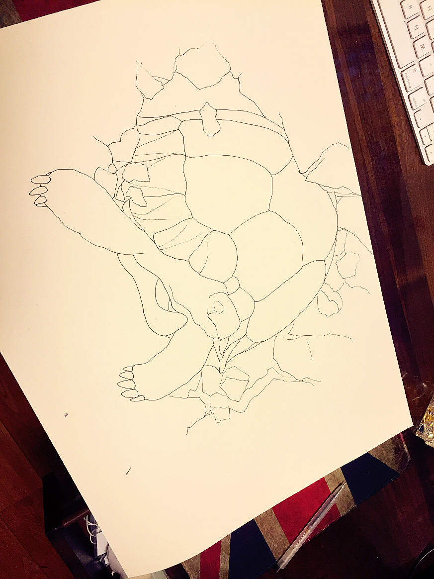 安哥洛卡象龟-破墙系列|钢笔画|纯艺术|KENNW