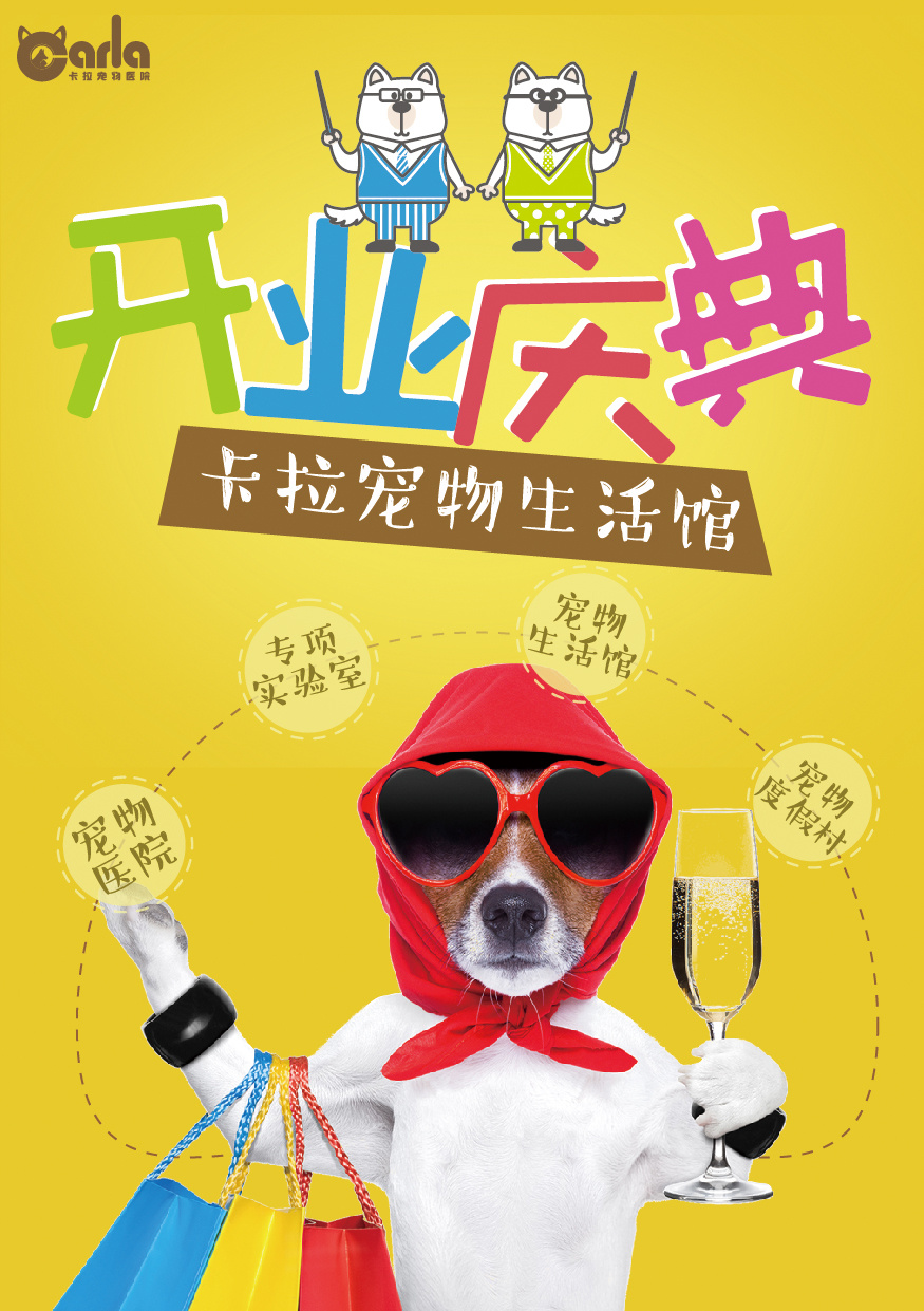 萌宠活动海报