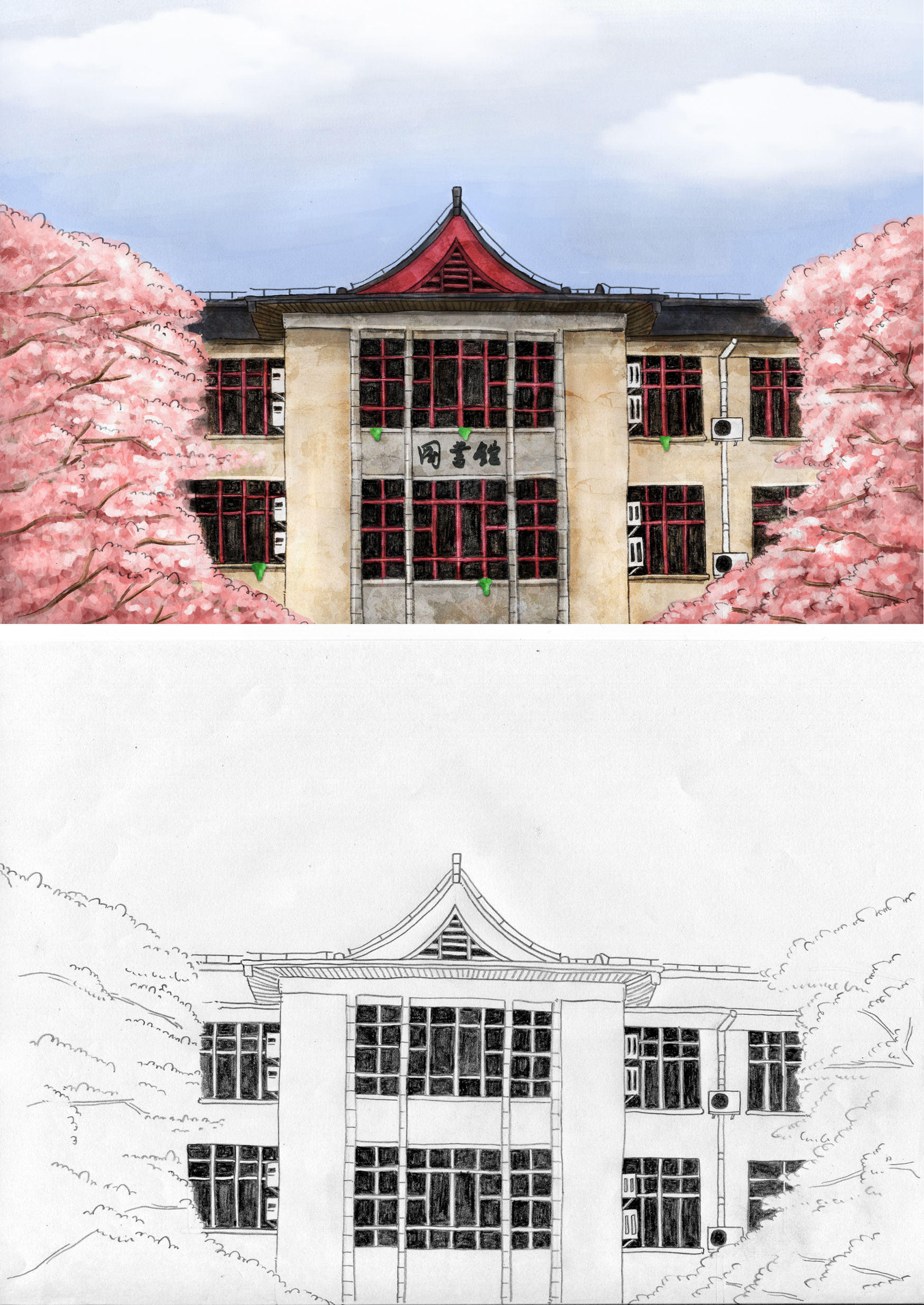 给南京林业大学画的一套手绘明信片