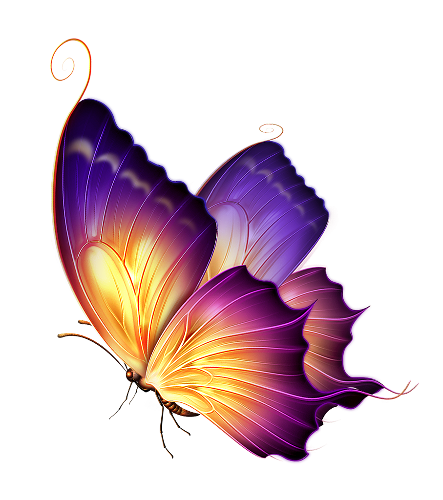 黄色 蝴蝶图片 蝴蝶纹身图案大全图片 漂亮的 蝴蝶图片 紫色 梦幻蝴蝶