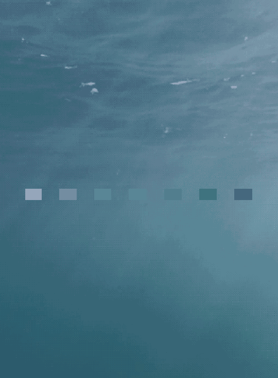 大自然 最好的调色师|ui|动效设计|pbids002 - 原创