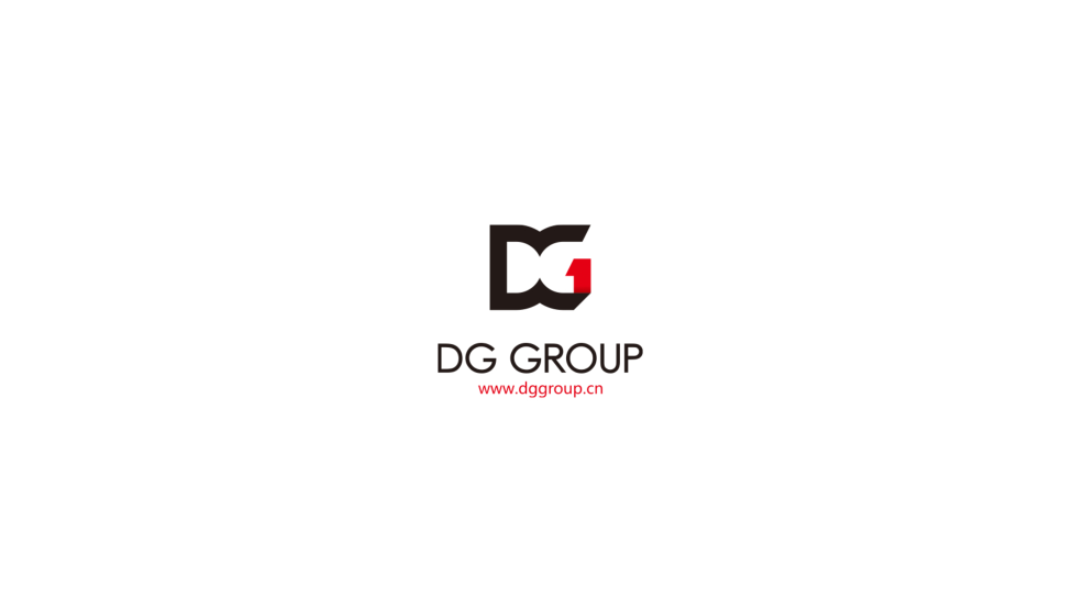 【比如】dg集团logo及vi基础应该办公室软装
